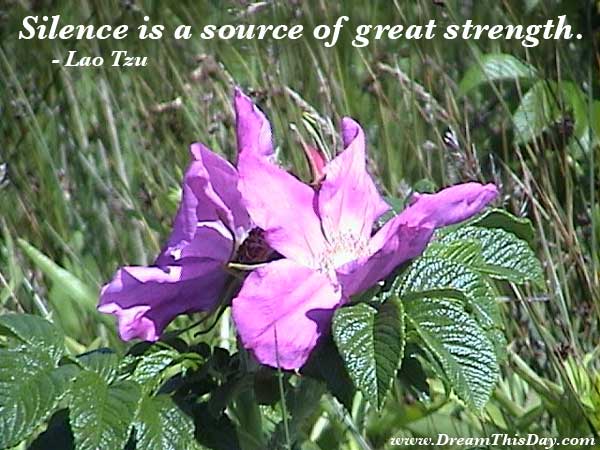 bible quotes on strength. Bible Quotes on Strength